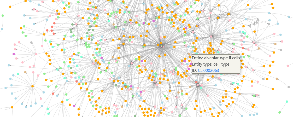 Pyvis knowledge graph  showing tooltip for alveolar type II cells